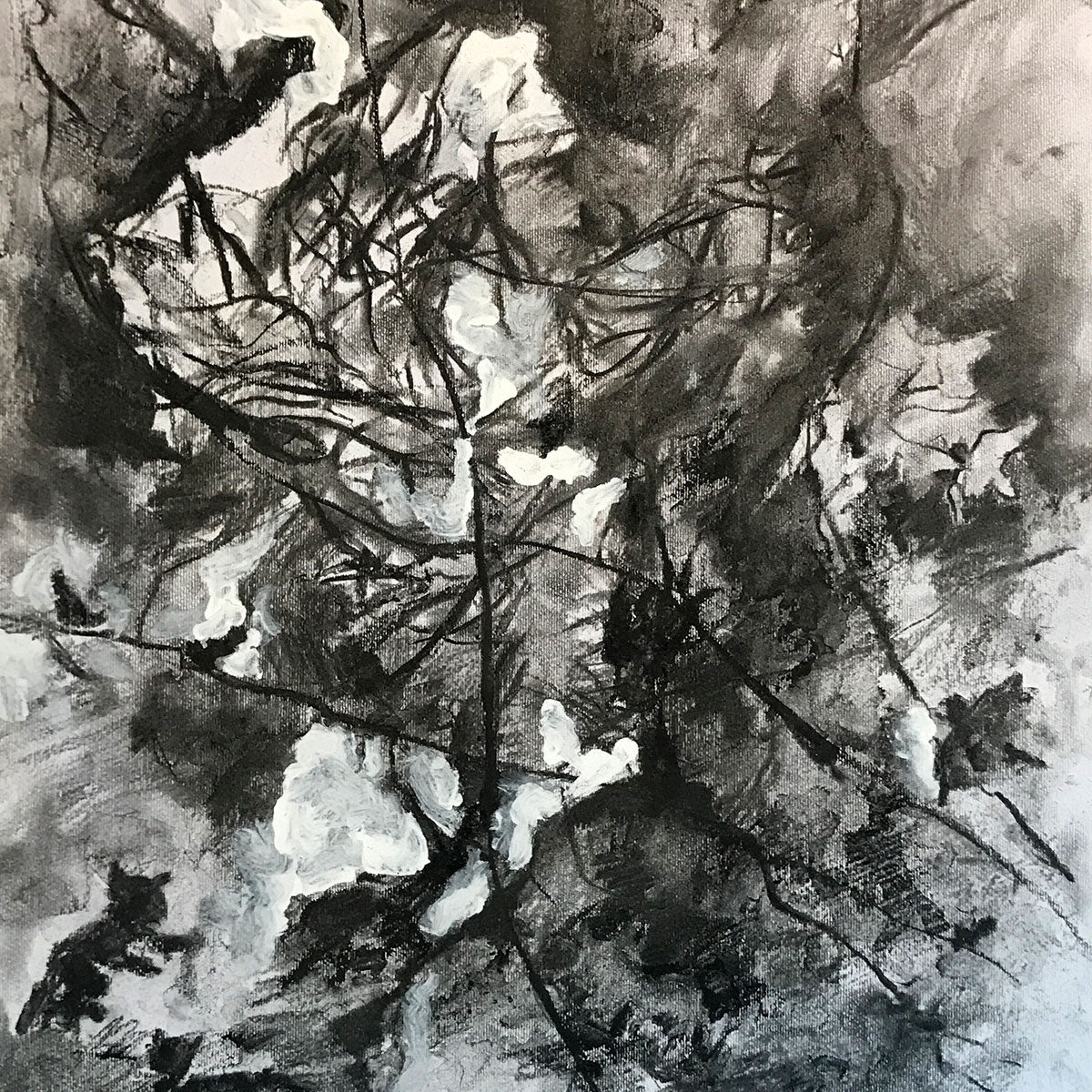 Walking in the Forest