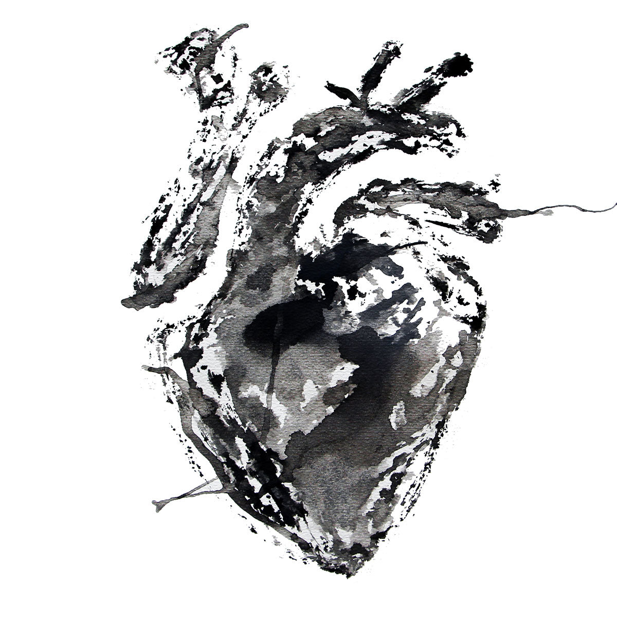 Animales de poder / Black Heart