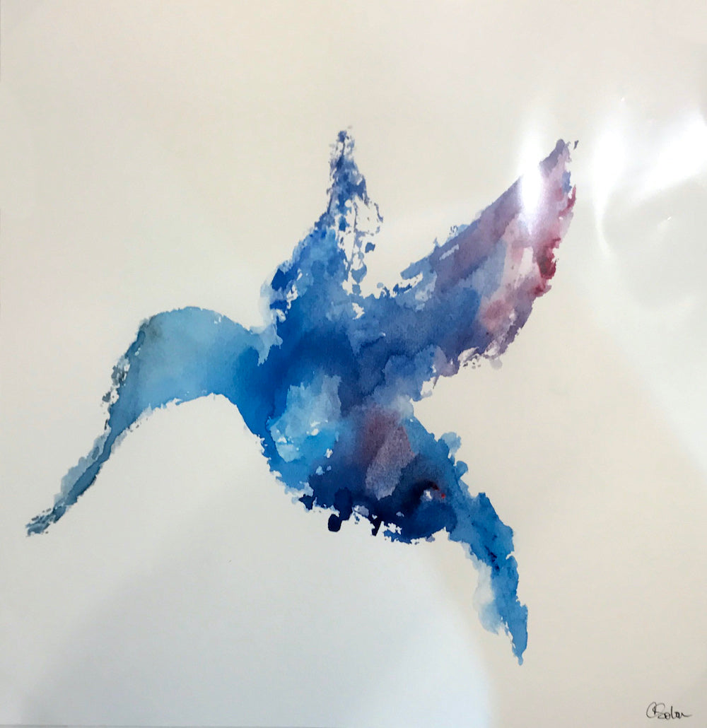 Animales de poder / Colibrí