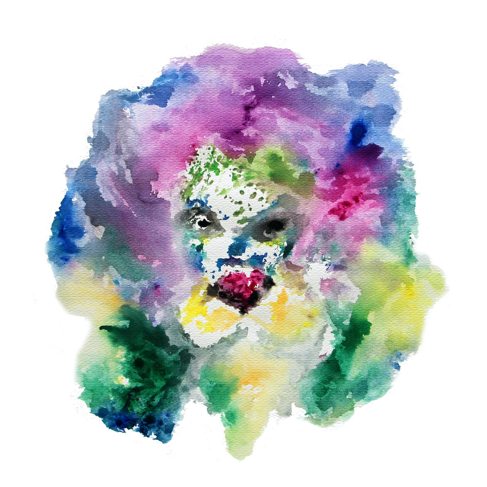 Animales de poder / León 3