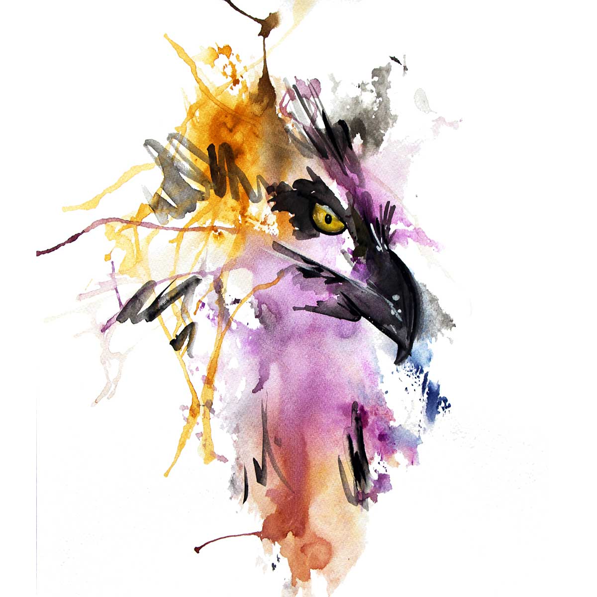 Animales de poder / Águila