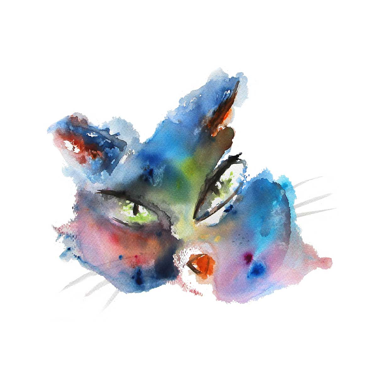 Animales de poder / Gato