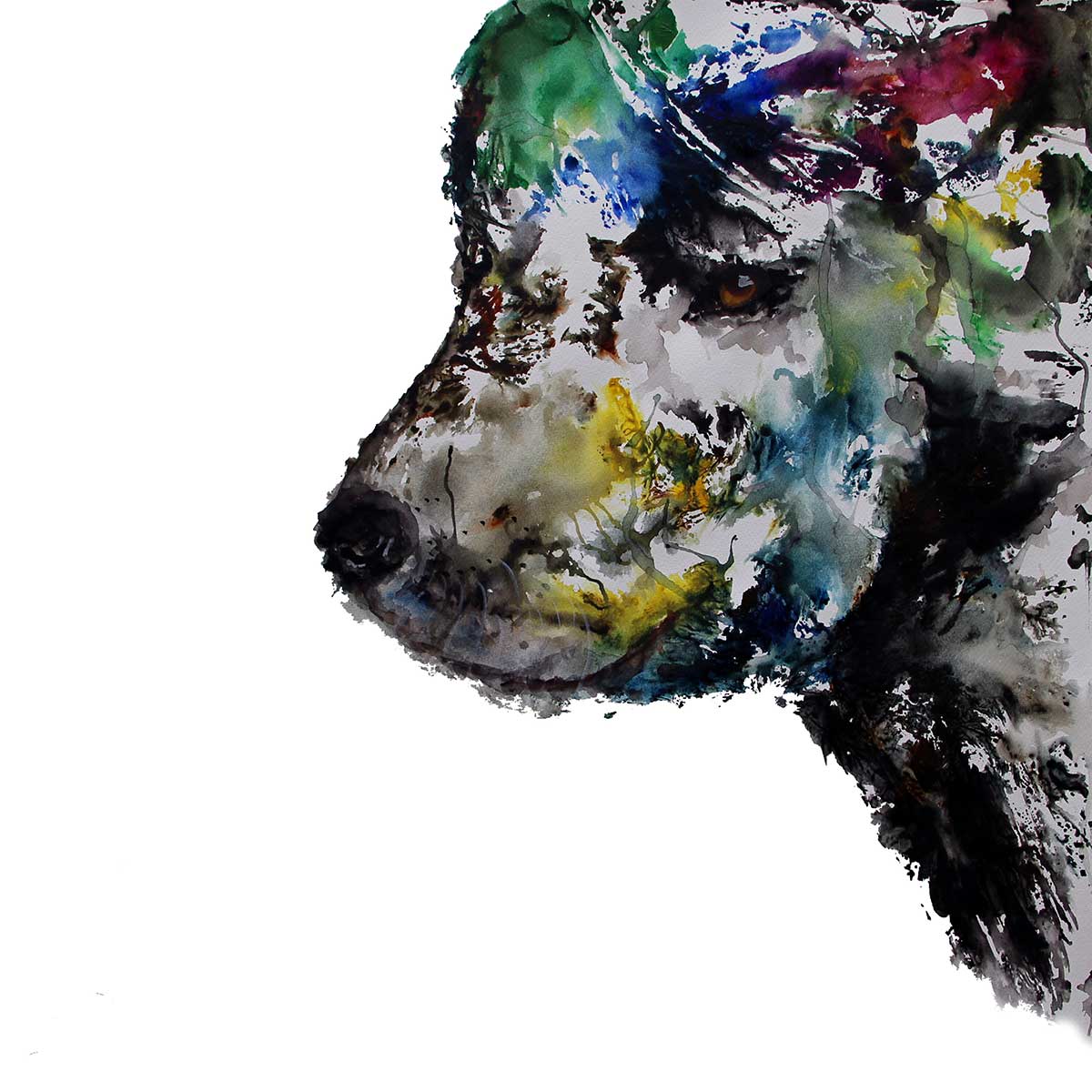 Animales de poder / Perro