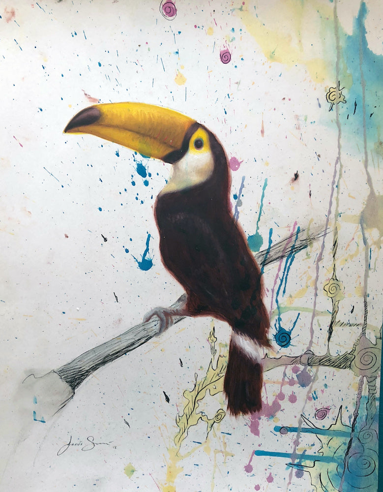Tucán en abstracto II