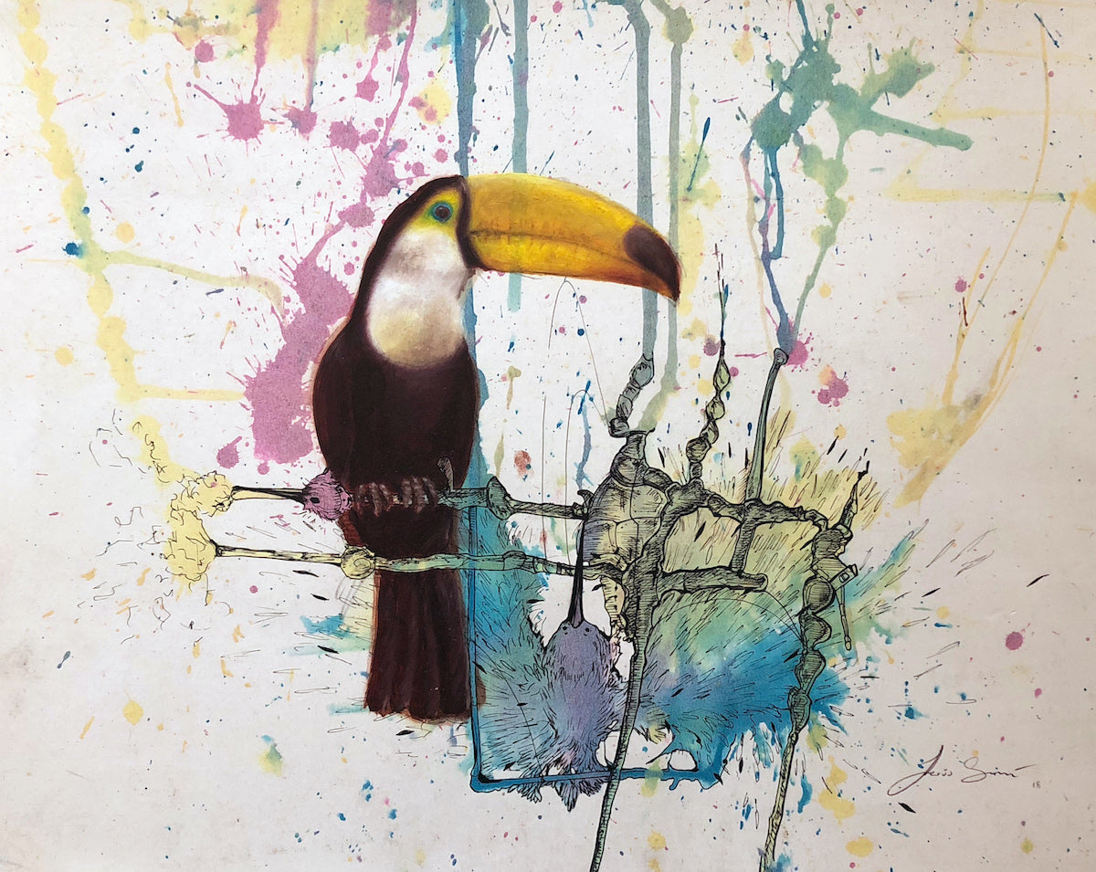 Tucán en abstracto