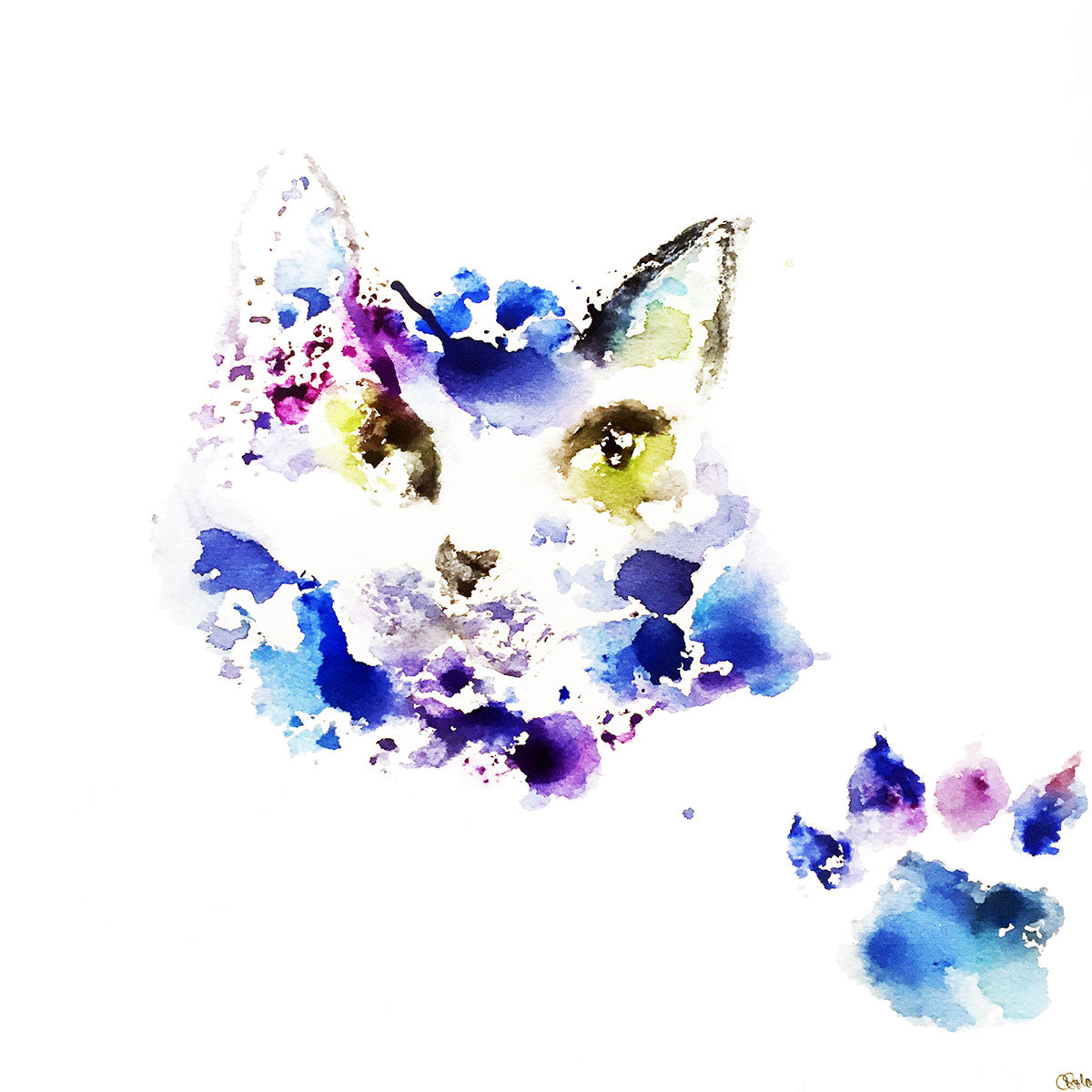 Animales de poder / Gato Azul